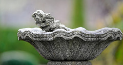 Der Froschkönig hat es sich im Brunnen gemütlich gemacht :)) The Frog Prince has made himself comfortable in the fountain :))   Le prince grenouille s'est installé confortablement dans la fontaine :))