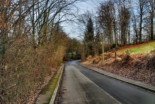 Mönkhoffstraße (Essen-Überruhr) / 10.02.2024