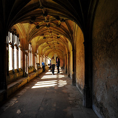 Sunlit Cloisters Chiaroscuro