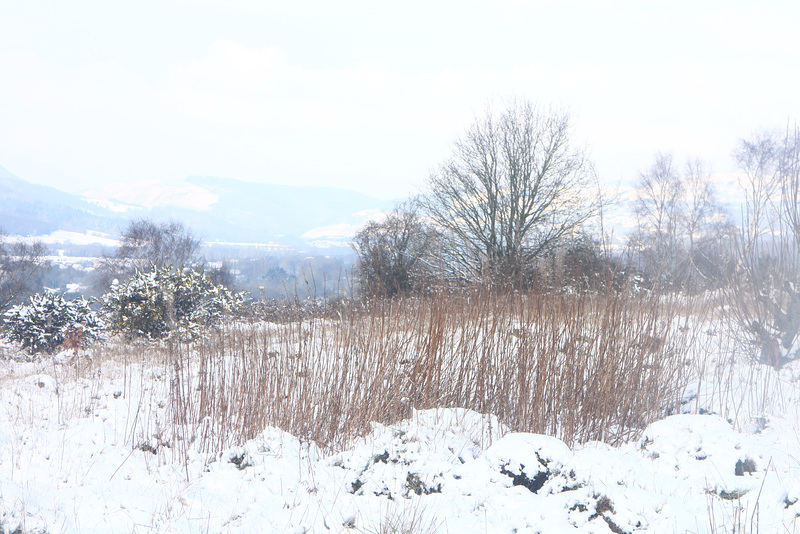 Snow on the Hill Fort