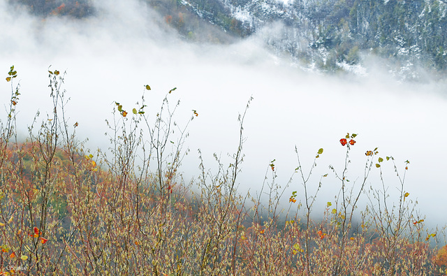 Un giorno d'autunno