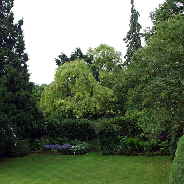 Fulbourn garden 2014-06-09