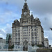 The Liver building