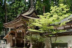 Cimetière Okuno-in de Koyasan (9)