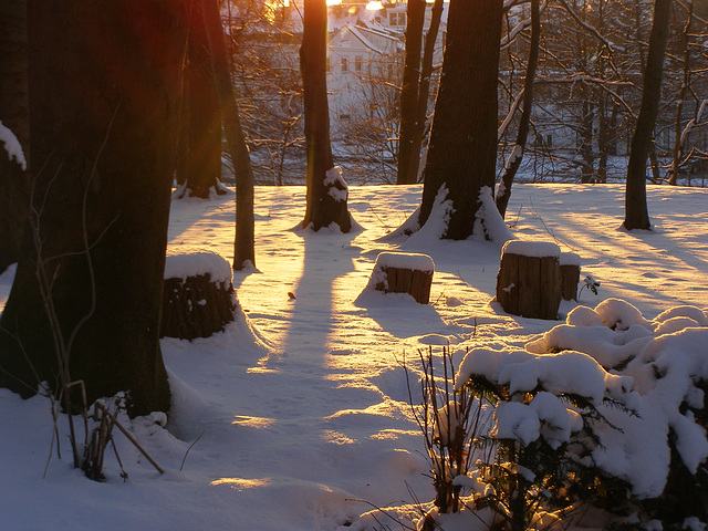 white blanket