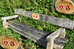 World Photography Day 2026- Love Bench