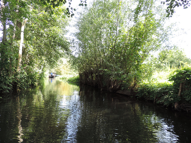 Spreewald Lübbenau - Große Spree