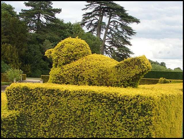 Blenheim topiary