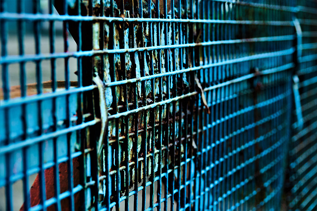 Blue Fence 3