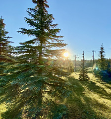 Early Morning in Hinton, Alberta.