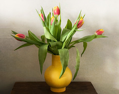 tulips