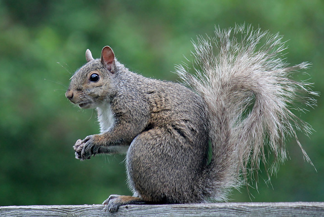 Having a snack.