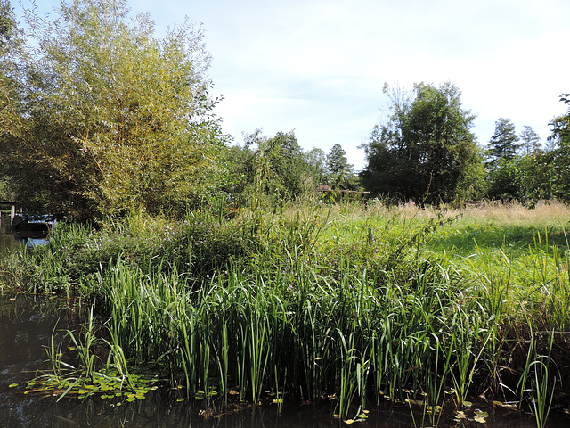 Spreewald Lübbenau