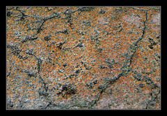 Matières, formes, couleurs XXVI