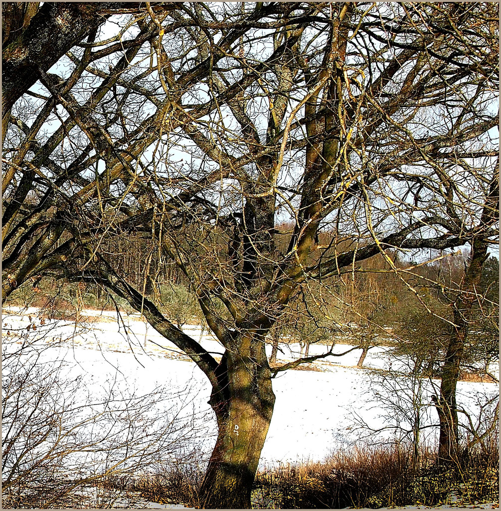 Winterspaziergang