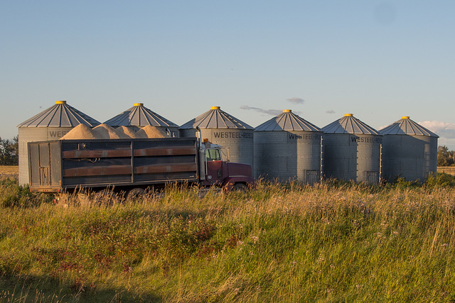 Grain Truck and Bins 02