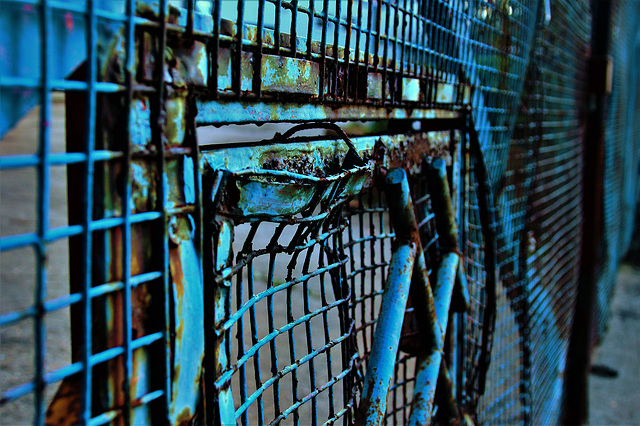 Blue Fence 2 Blue Fence 2