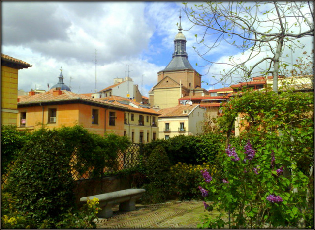 A tiny (almost secret) garden in old Madrid