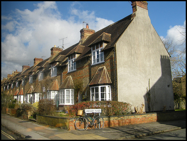 February sunshine in Kingston Road