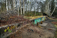 Mauerreste auf dem Gelände des alten Zechenhafens (Herne-Baukau) / 11.12.2021