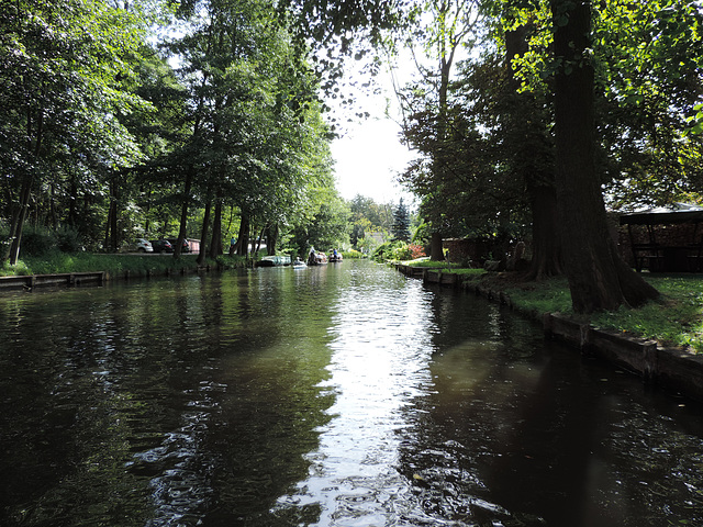 Spreewald Lübbenau - Große Spree