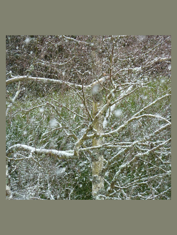 Hiver...