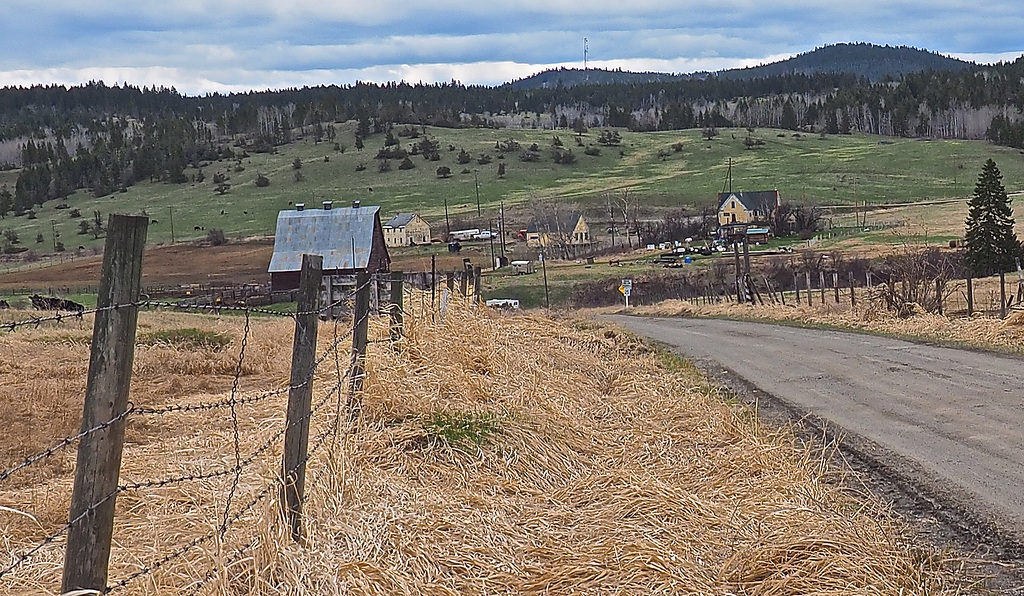 The road to Onward Ranch