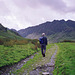 Path alongside Lower Raven Crag leading to Warnscale Bottom with Haystacks ahead (scan from 1992)