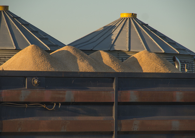 Grain Truck and Bins 01