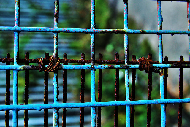 Blue Fence 1 Blue Fence 1