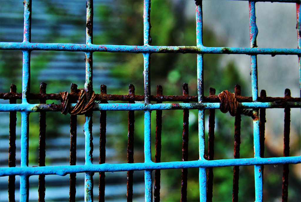 Blue Fence 1