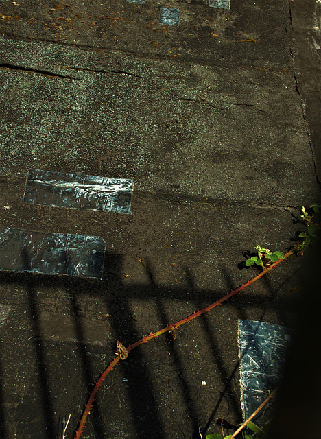 Roof 2