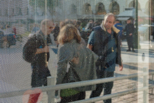 DSC1172-2