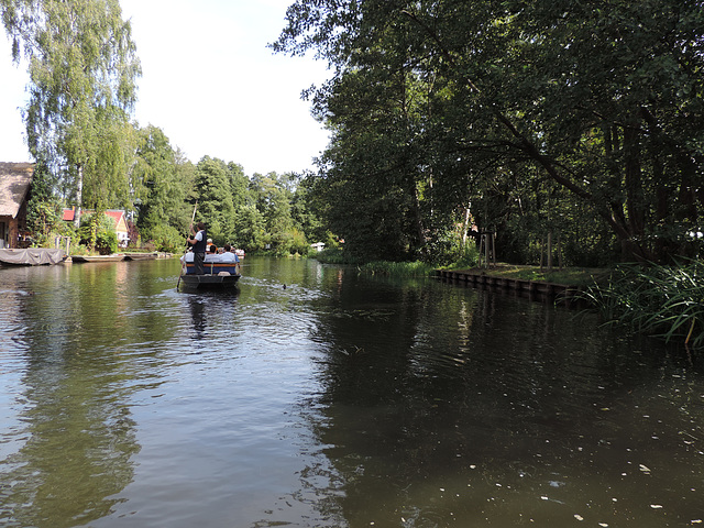 Spreewald Lübbenau - Große Spree