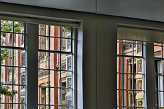 Looking Out at the Garden – Café and Bar, Victoria and Albert Museum, South Kensington, London, England