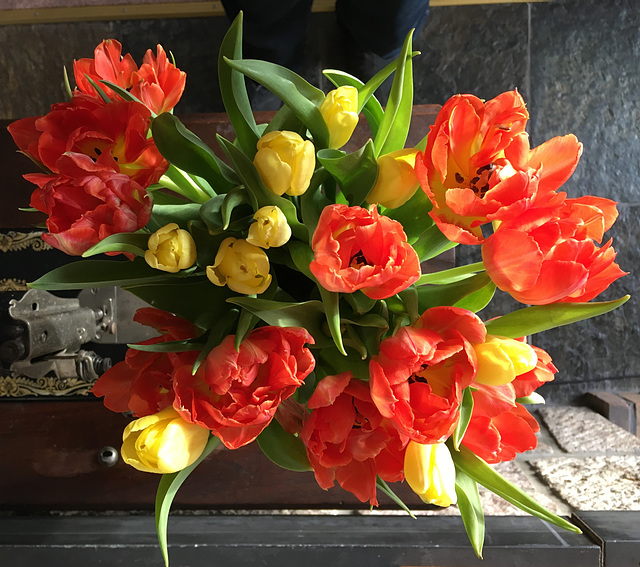 Bouquet de tulipes