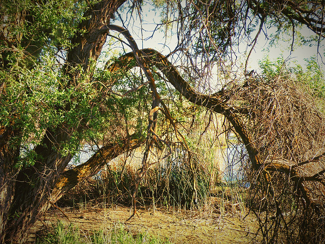 Klamath Wildlife Refuge