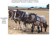 Poundfield Farm Working Heavy Horses ploughing team