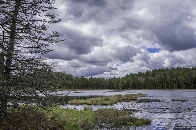 am Amikeus Creek (© Buelipix)