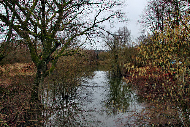 Ehemaliger Holteyer Hafen (Essen-Überruhr) / 10.02.2024