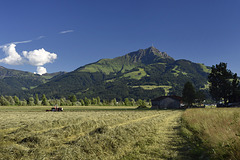 Summertime in Tyrol