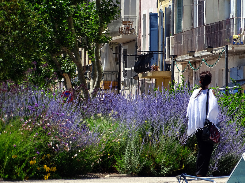 A passeggio tra i fiori