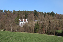 Berg am Irchel - Schloss Eigenthal (02)