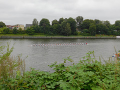 Stämpfli-Express, das längste Ruderboot der Welt beim SH-Netz-Cup auf dem Nord-Ostsee-Kanal