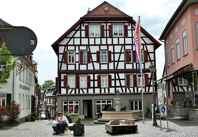 Brunnen auf der Schirn in Kronberg.  (pip)