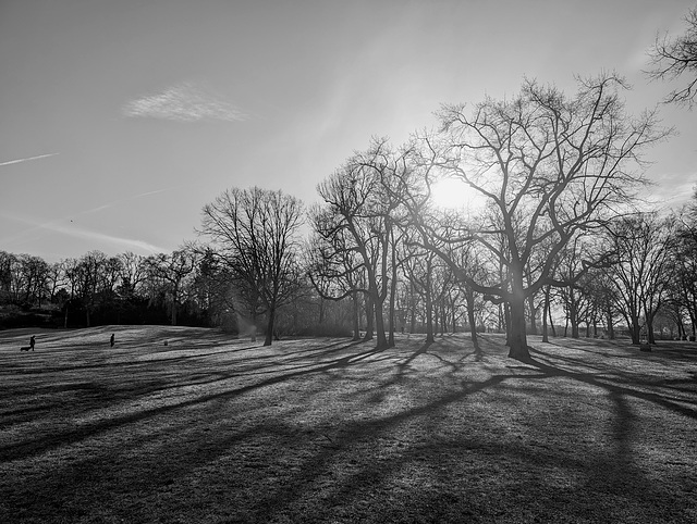 | Berlin | morning walk | Viktoriapark