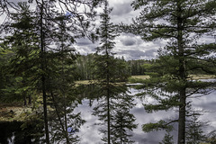 Beaver Pond Trail (© Buelipix)