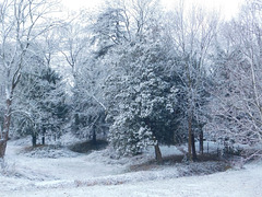 Hiver au Parc du bosquet (26)*********