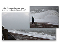 Seafront snapper - Seaford - 17.11.2015