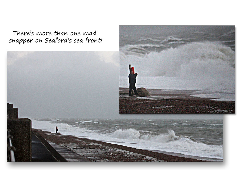 Seafront snapper - Seaford - 17.11.2015